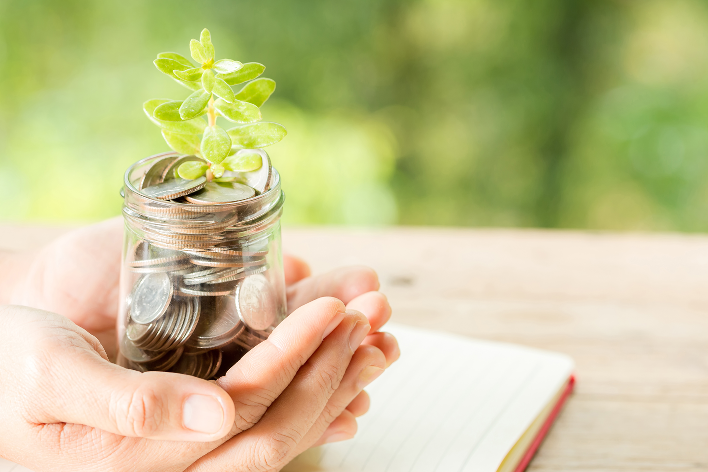 inveatment-managemnet