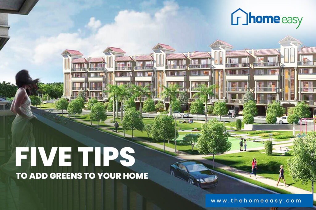 Sushma Valencia Zirakpur